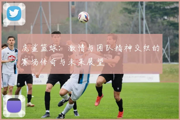 虎鲨篮球：激情与团队精神交织的赛场传奇与未来展望