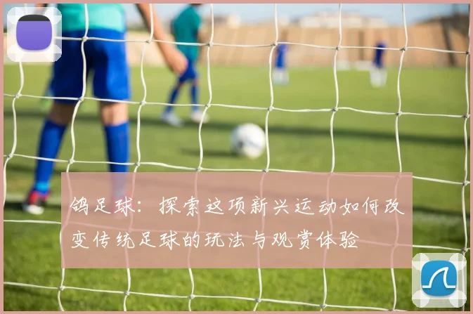 鸽足球：探索这项新兴运动如何改变传统足球的玩法与观赏体验