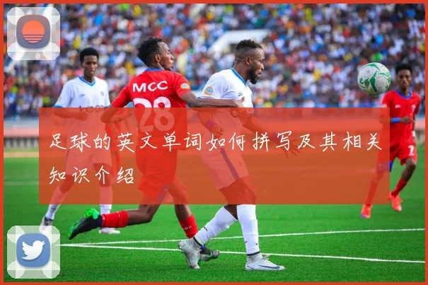 足球的英文单词如何拼写及其相关知识介绍