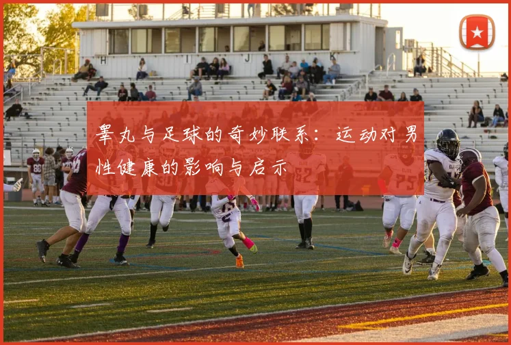 睾丸与足球的奇妙联系：运动对男性健康的影响与启示