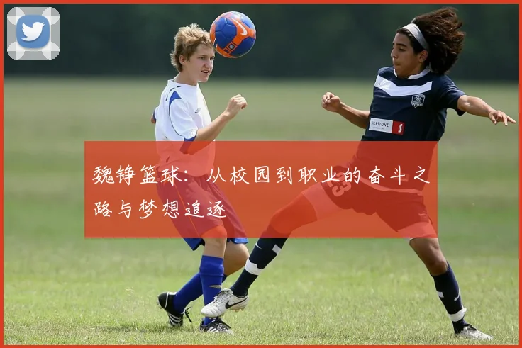 魏铮篮球：从校园到职业的奋斗之路与梦想追逐