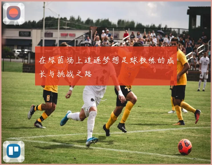 在绿茵场上追逐梦想足球教练的成长与挑战之路